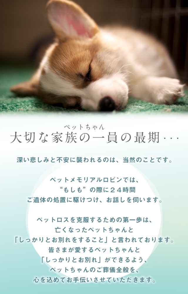 神奈川のペット葬儀 ご供養をトータルサポート ペットメモリアルrobin